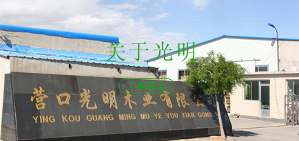 營(yíng)口免熏蒸托盤